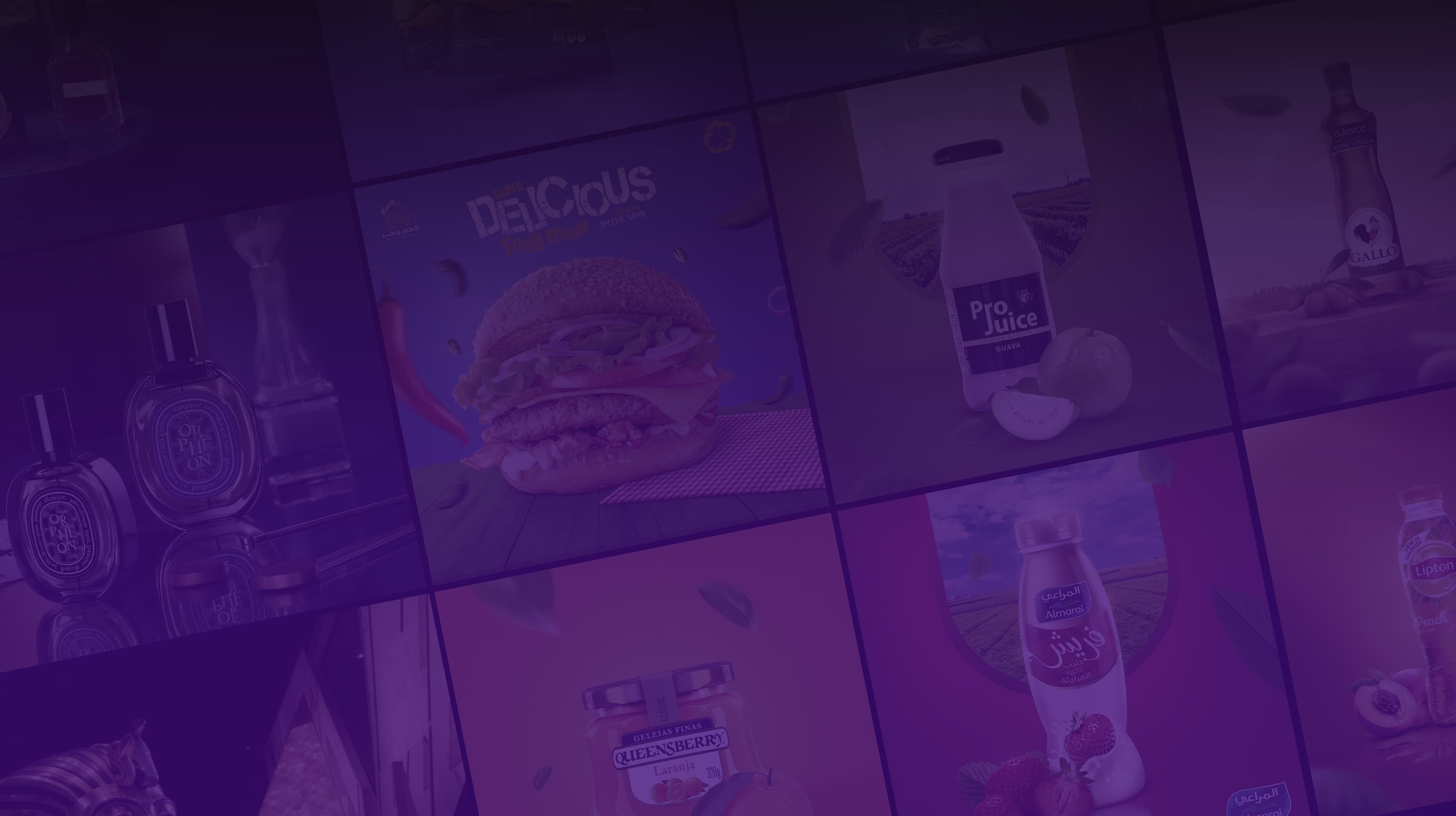 Our Projects